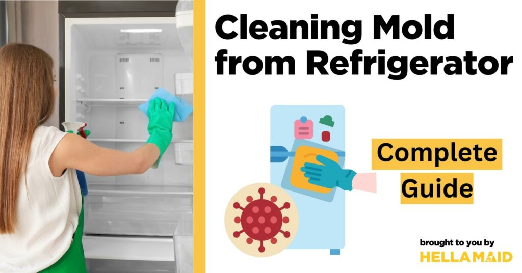cleaning mold from refrigerator