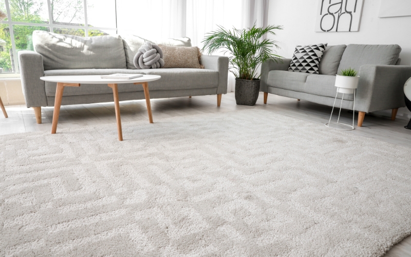 vacuum techniques for carpets
