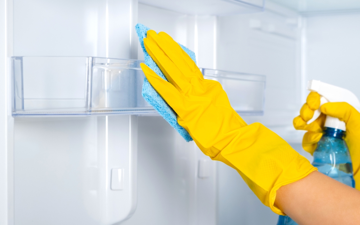 cleaning mold from refrigerator