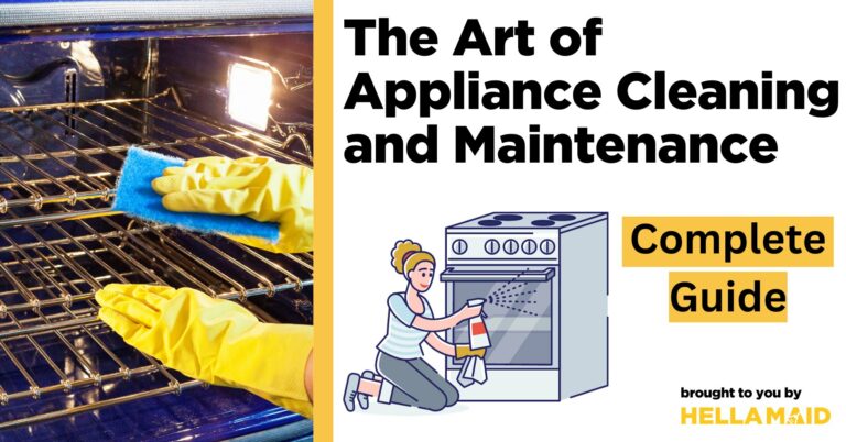 appliance cleaning and maintenance