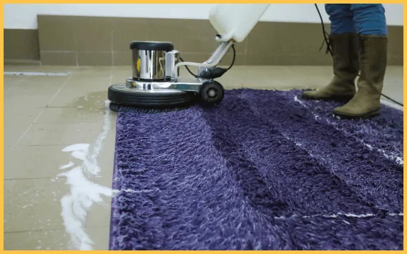 deep cleaning carpets