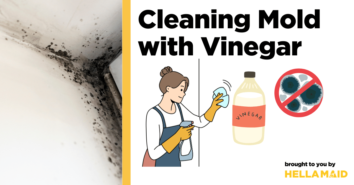 Cleaning Mold with Vinegar