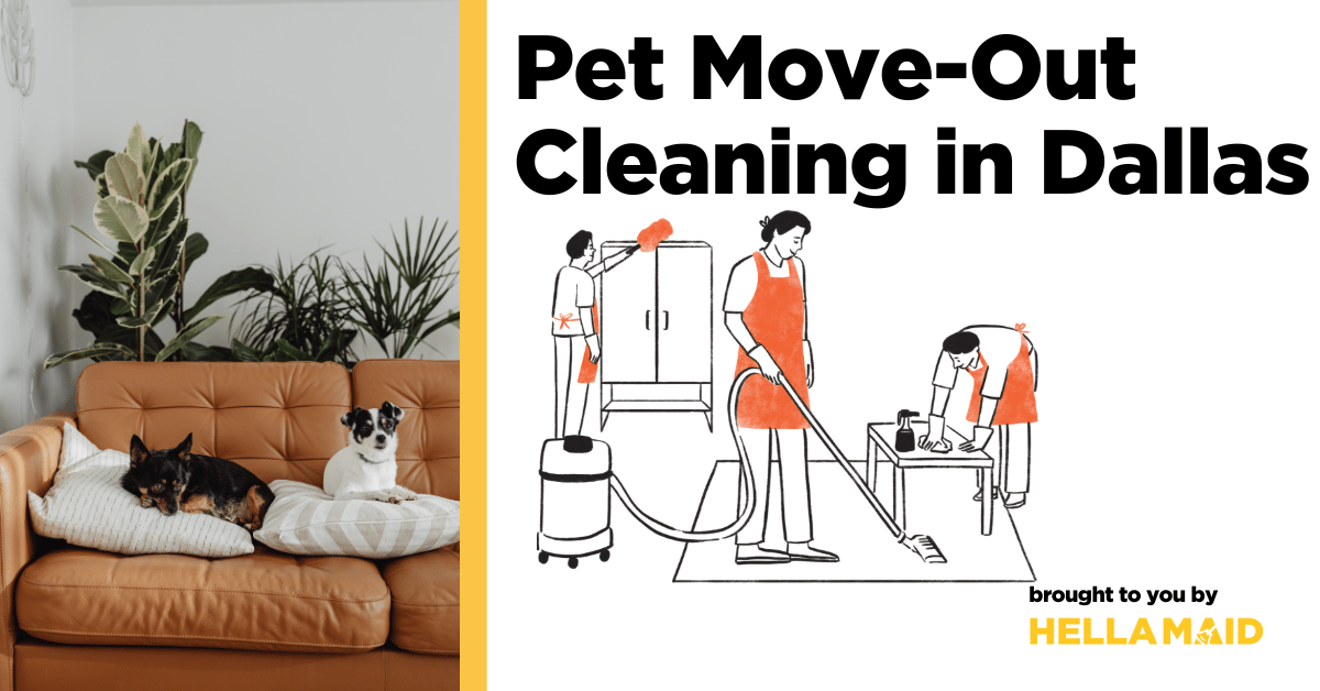 Pet Move-Out Cleaning in Dallas