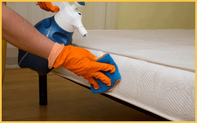 blotting the mattress