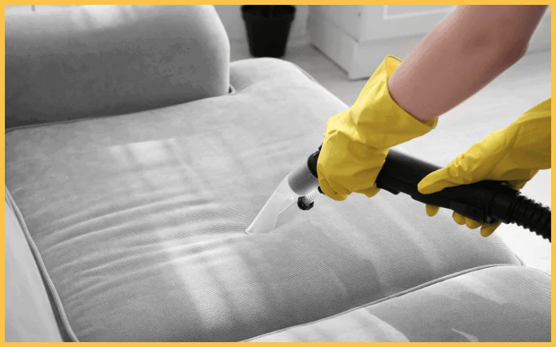 couch cleaning