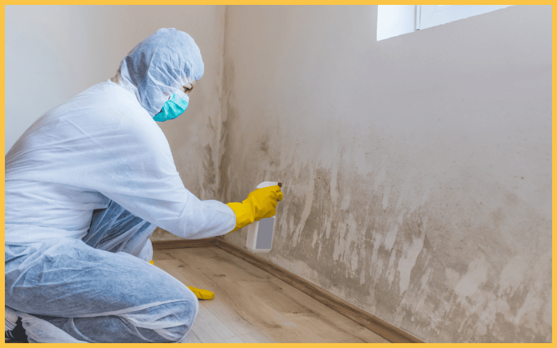 preventing mold
