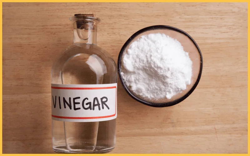 white vinegar