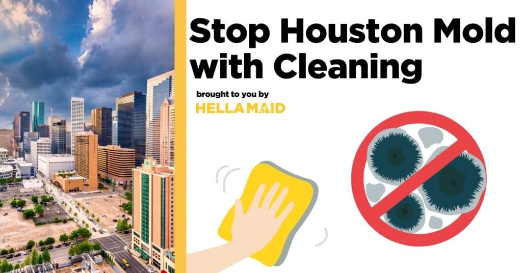 An image of the Houston, Texas skyline with an illustration of a professional cleaner wiping away mold, alongside text related to “Houston mold outbreak how cleaning can protect your home.”