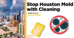 An image of the Houston, Texas skyline with an illustration of a professional cleaner wiping away mold, alongside text related to “Houston mold outbreak how cleaning can protect your home.”